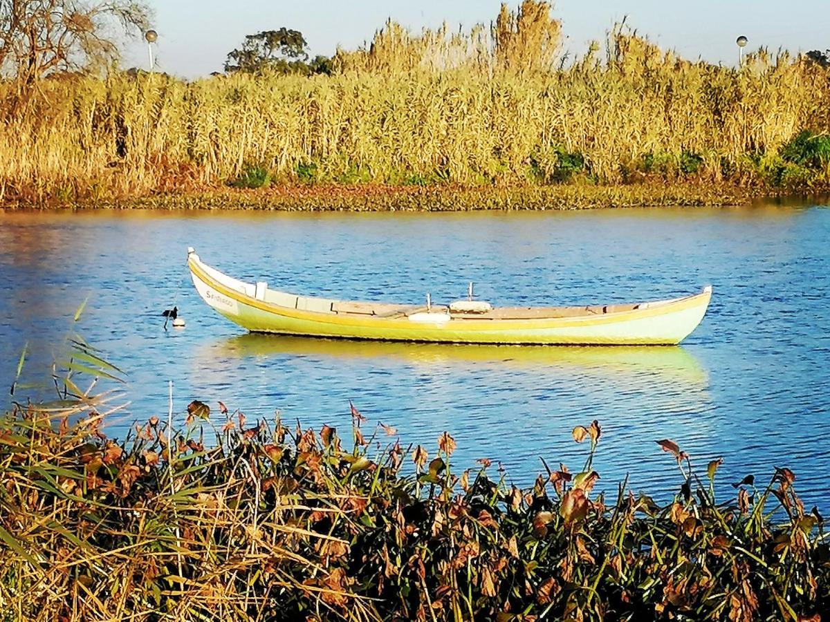 Barrinha_Village Praia de Mira Luaran gambar